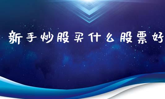新手炒股买什么股票好_https://m.qmgjg.com_资金管理_第1张