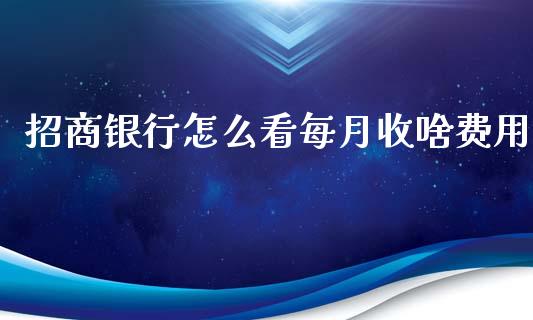 招商银行怎么看每月收啥费用_https://m.qmgjg.com_金融市场_第1张
