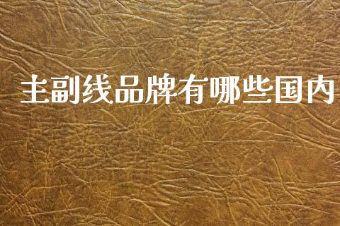 主副线品牌有哪些国内_https://m.qmgjg.com_金融市场_第1张
