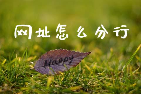 网址怎么分行_https://m.qmgjg.com_投资银行_第1张