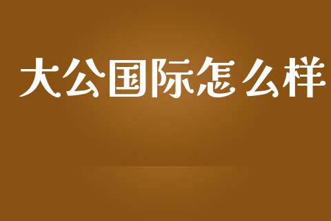 大公国际怎么样_https://m.qmgjg.com_资金管理_第1张