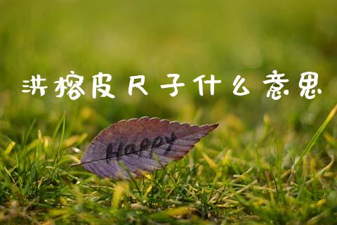 洪榕皮尺子什么意思_https://m.qmgjg.com_金融市场_第1张