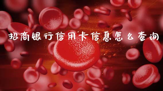 招商银行信用卡信息怎么查询_https://m.qmgjg.com_货币基金_第1张