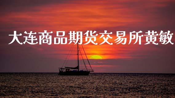 大连商品期货交易所黄敏_https://m.qmgjg.com_货币基金_第1张