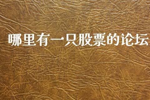 哪里有一只股票的论坛_https://m.qmgjg.com_投资银行_第1张