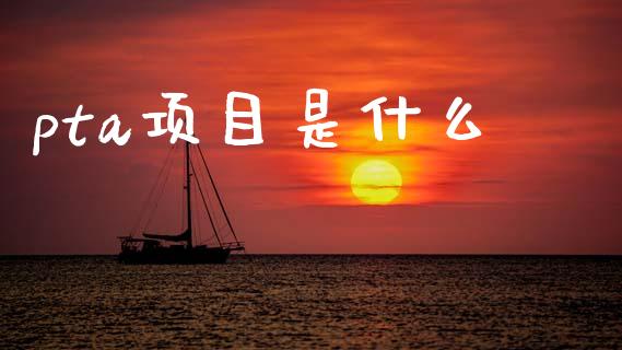 pta项目是什么_https://m.qmgjg.com_资金管理_第1张