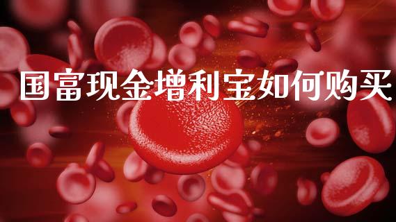 国富现金增利宝如何购买_https://m.qmgjg.com_金融市场_第1张
