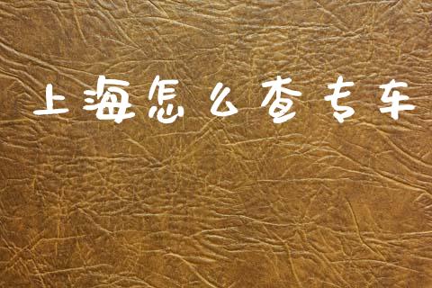 上海怎么查专车_https://m.qmgjg.com_货币基金_第1张