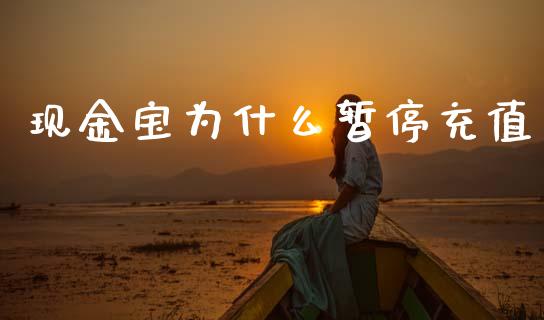 现金宝为什么暂停充值_https://m.qmgjg.com_金融市场_第1张