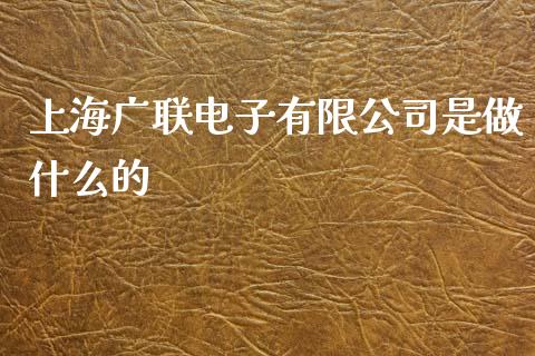 上海广联电子有限公司是做什么的_https://m.qmgjg.com_货币基金_第1张