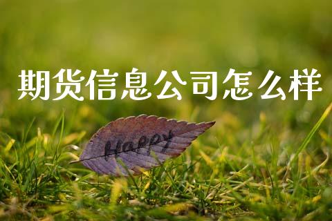 期货信息公司怎么样_https://m.qmgjg.com_金融市场_第1张