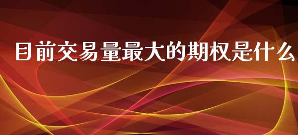 目前交易量最大的期权是什么_https://m.qmgjg.com_资金管理_第1张