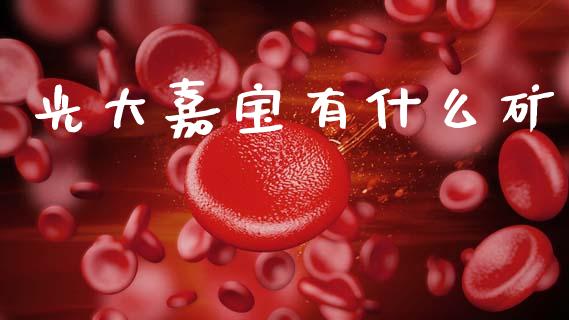 光大嘉宝有什么矿_https://m.qmgjg.com_货币基金_第1张