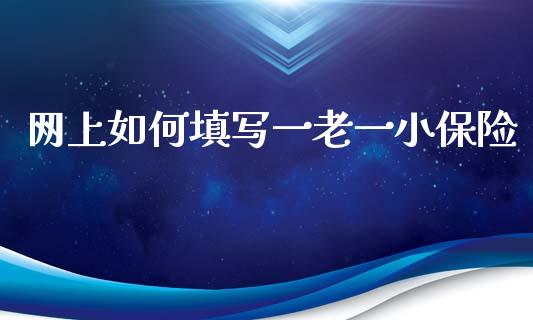 网上如何填写一老一小保险_https://m.qmgjg.com_资金管理_第1张