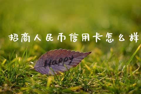 招商人民币信用卡怎么样_https://m.qmgjg.com_金融市场_第1张