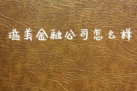 溢美金融公司怎么样_https://m.qmgjg.com_货币基金_第1张