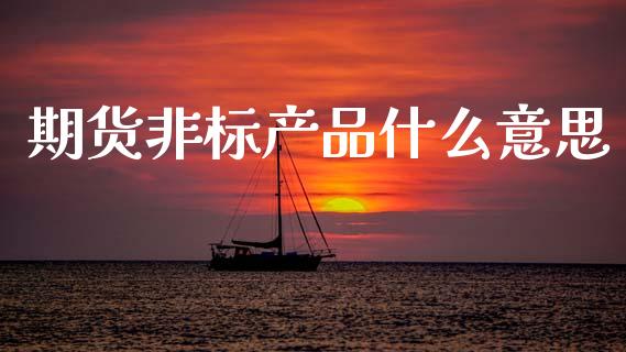 期货非标产品什么意思_https://m.qmgjg.com_投资银行_第1张