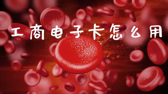 工商电子卡怎么用_https://m.qmgjg.com_货币基金_第1张