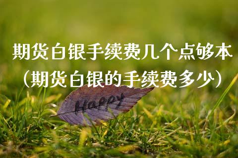 期货白银手续费几个点够本（期货白银的手续费多少）_https://m.qmgjg.com_投资银行_第1张