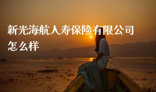 新光海航人寿保险有限公司怎么样_https://m.qmgjg.com_货币基金_第1张