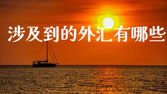 涉及到的外汇有哪些_https://m.qmgjg.com_投资银行_第1张