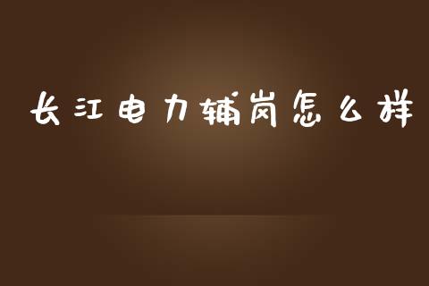 长江电力辅岗怎么样_https://m.qmgjg.com_投资银行_第1张