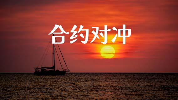 合约对冲_https://m.qmgjg.com_资金管理_第1张