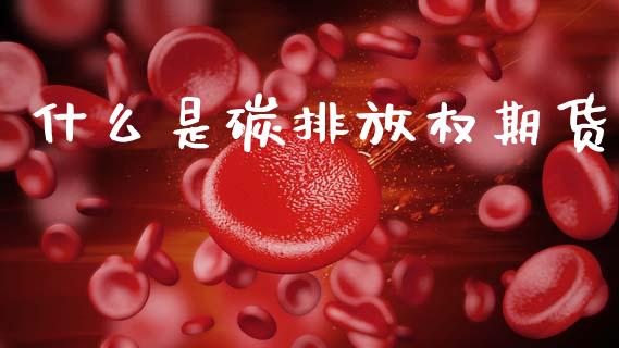 什么是碳排放权期货_https://m.qmgjg.com_资金管理_第1张