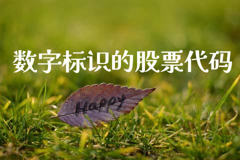 数字标识的股票代码_https://m.qmgjg.com_货币基金_第1张