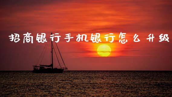 招商银行手机银行怎么升级_https://m.qmgjg.com_投资银行_第1张
