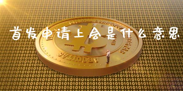首发申请上会是什么意思_https://m.qmgjg.com_货币基金_第1张
