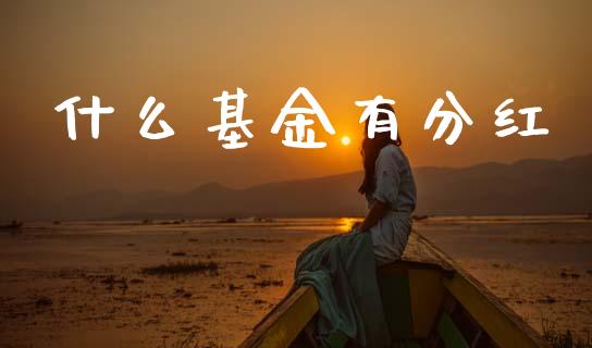 什么基金有分红_https://m.qmgjg.com_货币基金_第1张