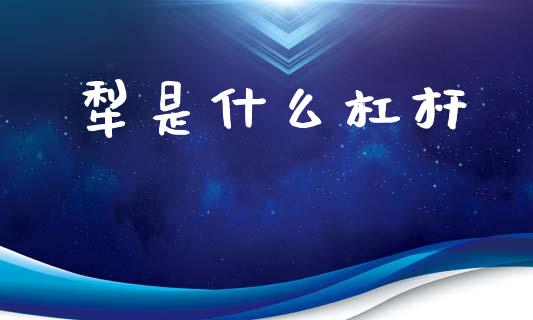 犁是什么杠杆_https://m.qmgjg.com_资金管理_第1张