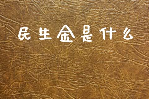民生金是什么_https://m.qmgjg.com_投资银行_第1张