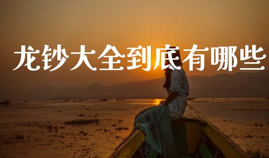 龙钞大全到底有哪些_https://m.qmgjg.com_资金管理_第1张