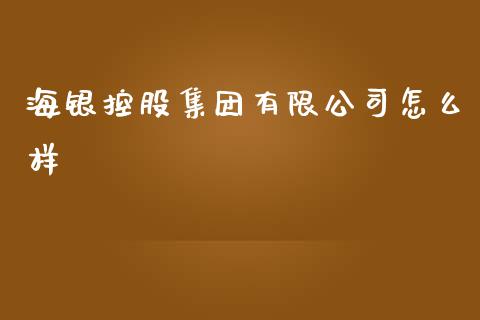 海银控股集团有限公司怎么样_https://m.qmgjg.com_投资银行_第1张