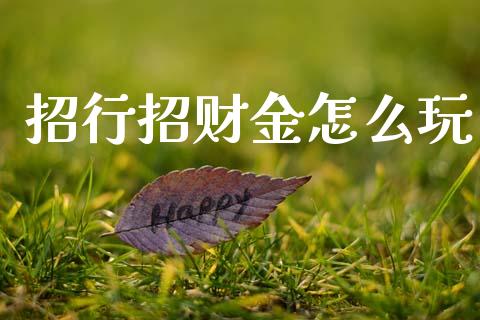 招行招财金怎么玩_https://m.qmgjg.com_资金管理_第1张