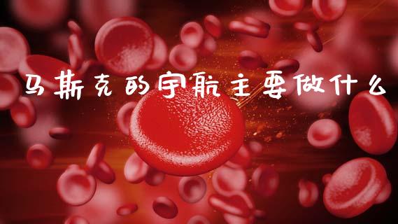 马斯克的宇航主要做什么_https://m.qmgjg.com_资金管理_第1张