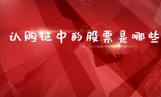 认购证中的股票是哪些_https://m.qmgjg.com_货币基金_第1张