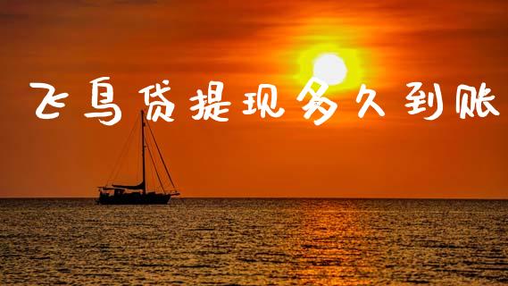 飞鸟贷提现多久到账_https://m.qmgjg.com_金融市场_第1张