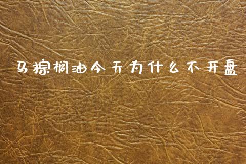 马棕榈油今天为什么不开盘_https://m.qmgjg.com_金融市场_第1张
