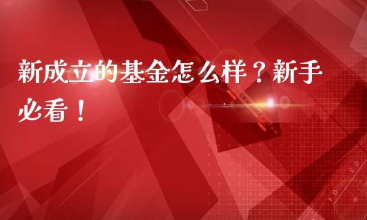 新成立的基金怎么样？新手必看！_https://m.qmgjg.com_投资银行_第1张