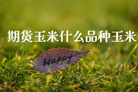 期货玉米什么品种玉米_https://m.qmgjg.com_资金管理_第1张