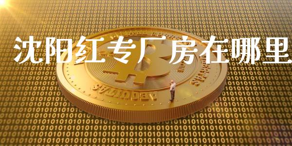 沈阳红专厂房在哪里_https://m.qmgjg.com_金融市场_第1张