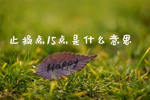 止损点15点是什么意思_https://m.qmgjg.com_投资银行_第1张