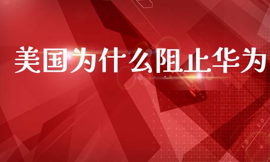 美国为什么阻止华为_https://m.qmgjg.com_货币基金_第1张