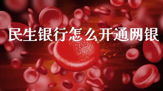 民生银行怎么开通网银_https://m.qmgjg.com_投资银行_第1张