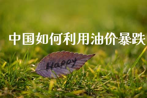 中国如何利用油价暴跌_https://m.qmgjg.com_资金管理_第1张