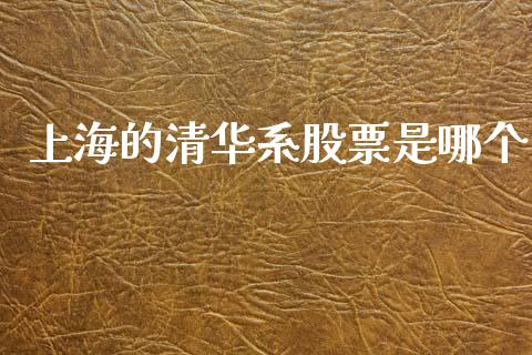 上海的清华系股票是哪个_https://m.qmgjg.com_货币基金_第1张