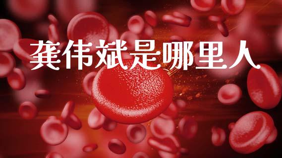 龚伟斌是哪里人_https://m.qmgjg.com_资金管理_第1张